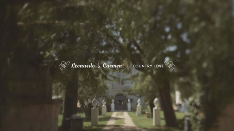 wedding love destination