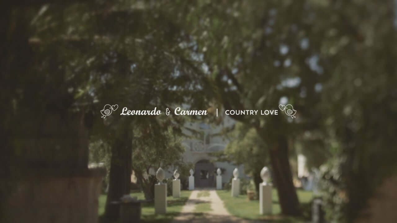 wedding love destination
