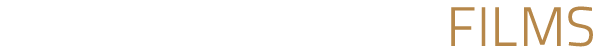logo stanzione videografo