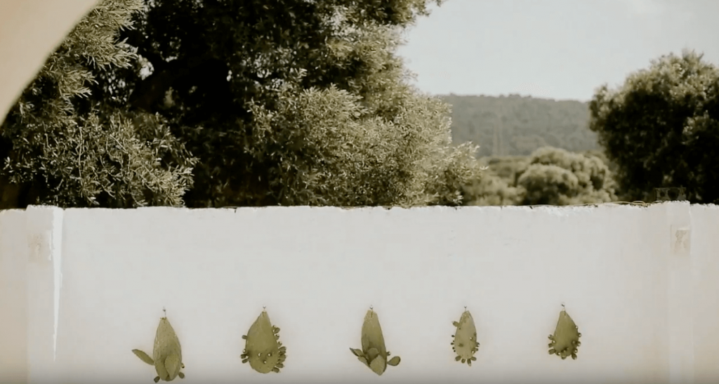 video matrimonio puglia