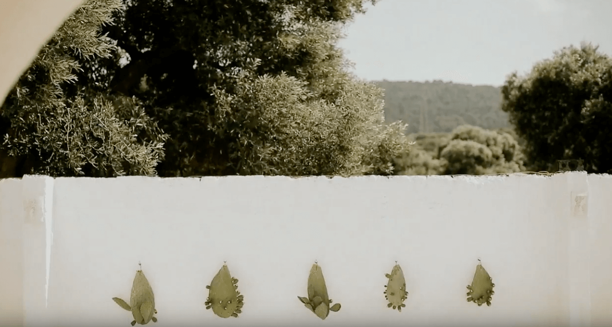 video matrimonio puglia