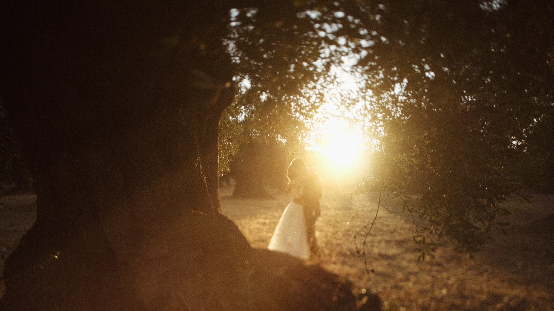 wedding in ostuni